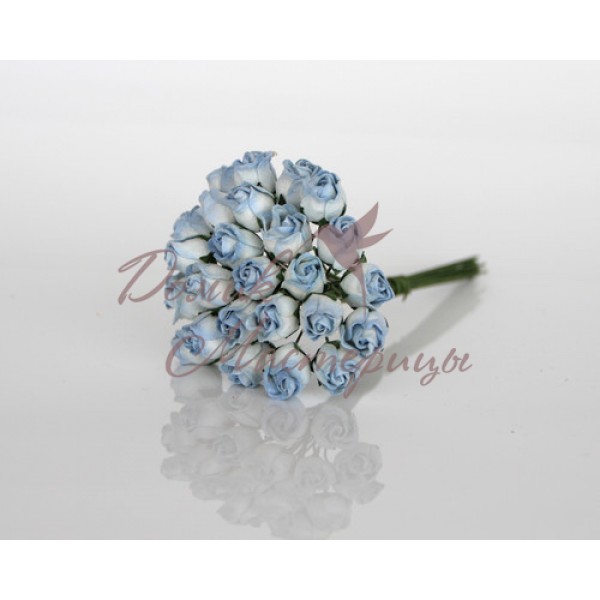 Бутон розы Бело-голубые, 563