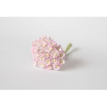 Цветы вишни Белые с нежно розовым краем, 519