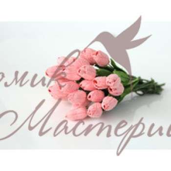 Тюльпан Розово-Персиковый